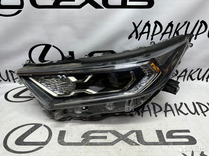 Фара передняя левая Toyota Rav4 50 2019-Н.в