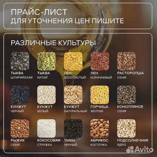 Кедровый орех / Сибирь