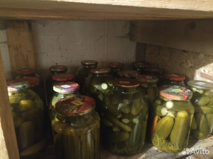 Соленья огурцы и помидоры