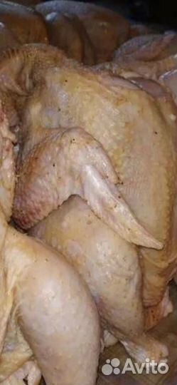Бройлеры домашние на мясо