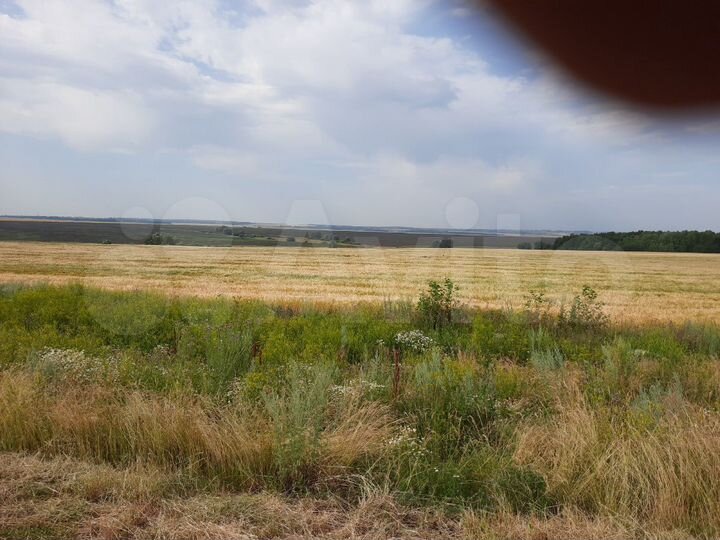 Участок 18,5 га (СНТ, ДНП)