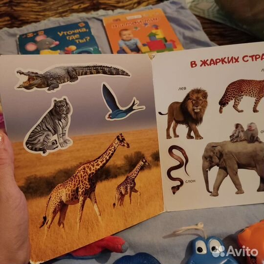 Книги игрушки для малыша пакетом