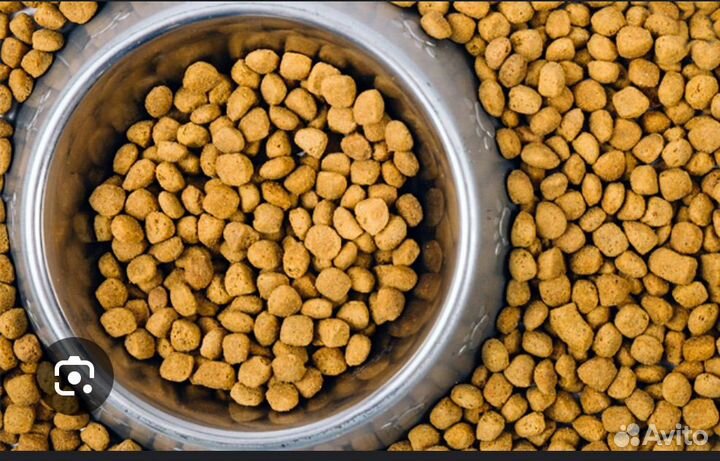 Корма для животных оптом
