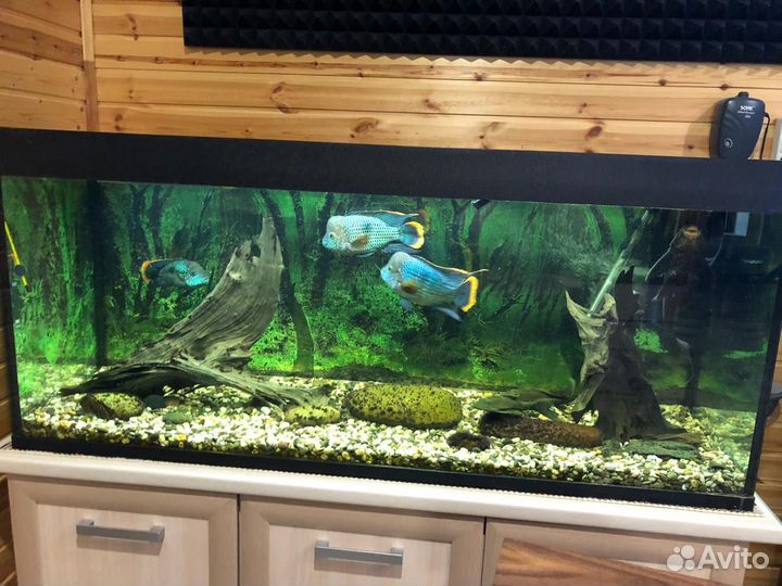Аквариум