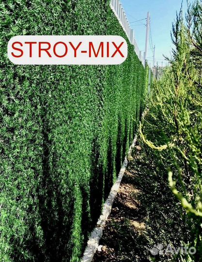 Зеленый забор (Калифорнийская изгородь)