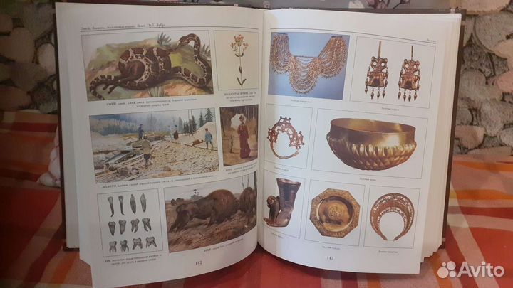 Иллюстрированный толковый словарь