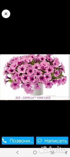 Искусственные цветы