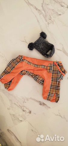 Комбинезон для собак (мальчика) мелких пород