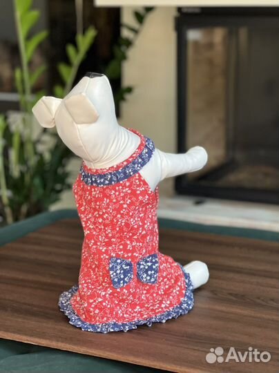 Одежда для собак