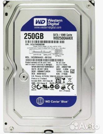Жесткий диск WD Caviar Blue 250гб