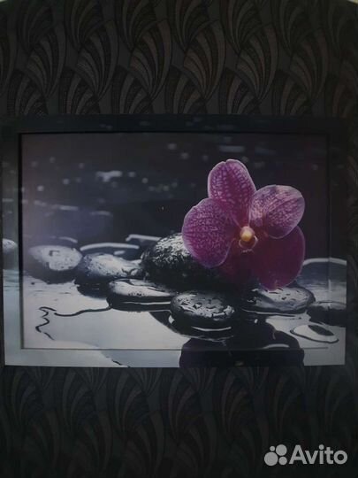 Картина орхидея 79 на 109