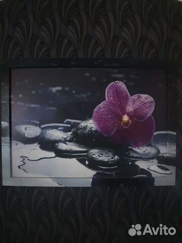 Картина орхидея 79 на 109
