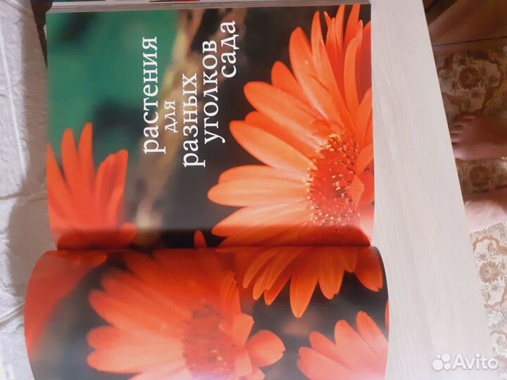 Контейнерное садоводство