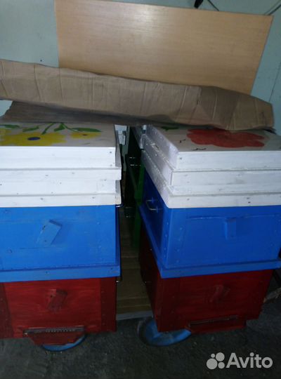 Улики 12 рамочные 2 корпуса на 300