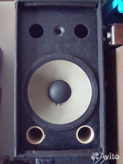 Ас 600Вт RMS пара