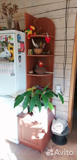 Стенка модульная, цвет орех