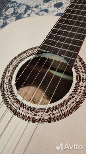 Гитара с зимним чехлом