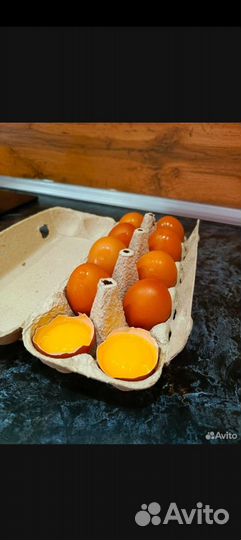 Домашние куриные яйца