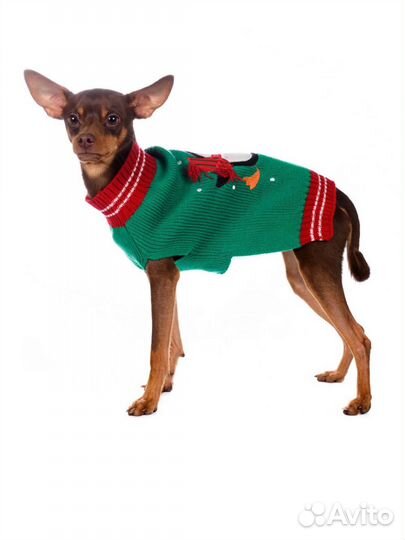 Свитер для собак мелких пород Rurri S новый