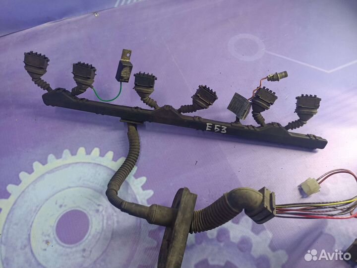 Проводка/жгут проводов катушки зажигания Bmw E53