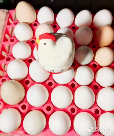 Яйца на блины