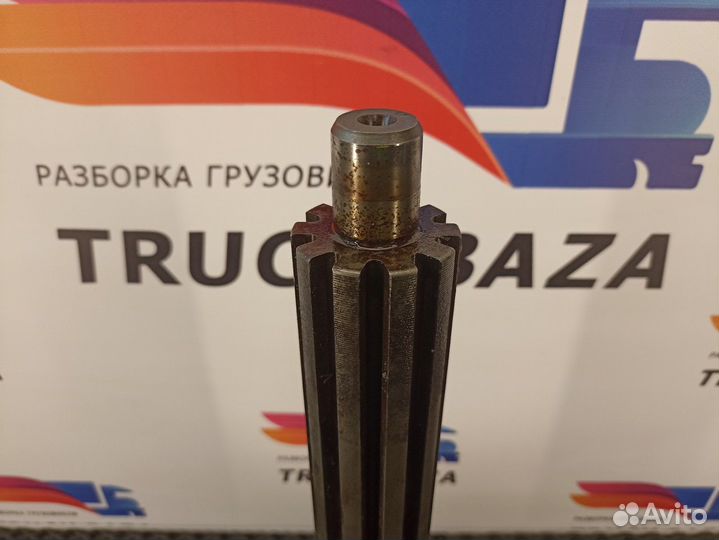 Первичный вал кпп ZF