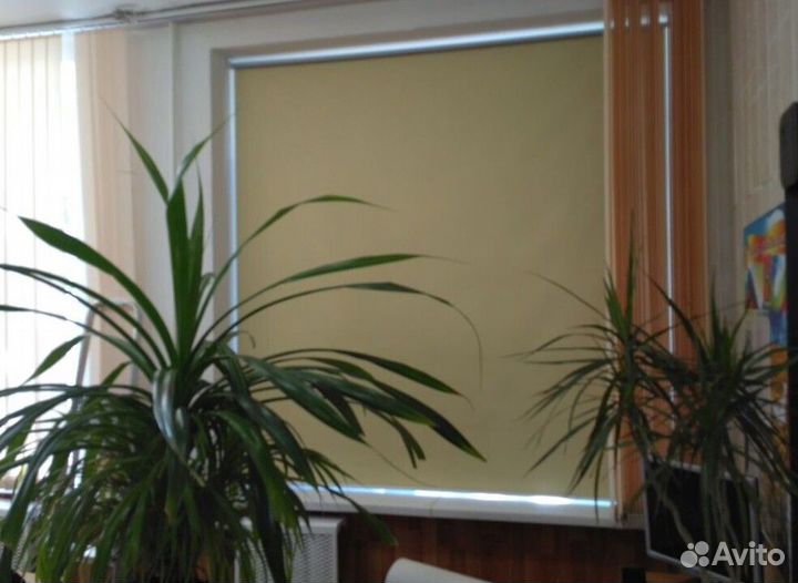 Рулонные кассетные шторы блекаут N7482-N36927