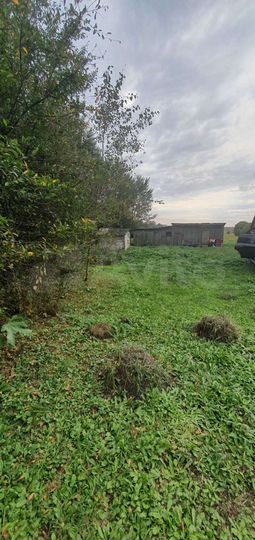 Дом 69 м² на участке 1,5 га