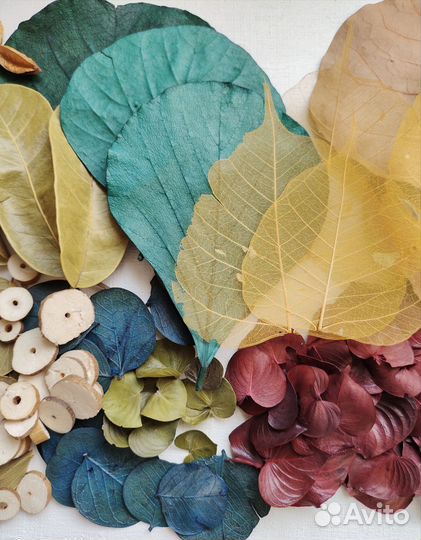 Набор для творчества. Сухоцветы. Для коллажа