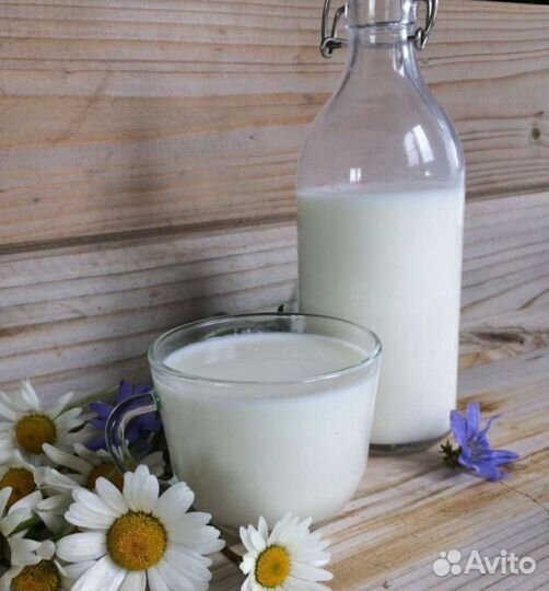 Козье молоко домашнее