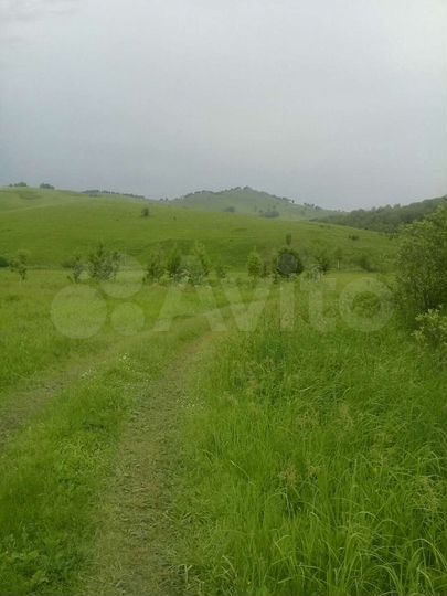 Участок 50 сот. (СНТ, ДНП)