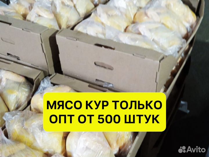 Мясо кур оптом