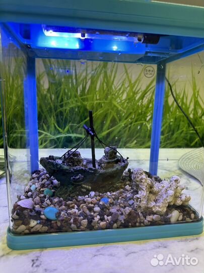 Аквариум 9 литров