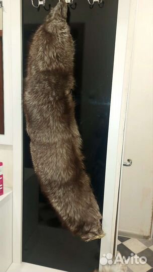 Шкурка животного