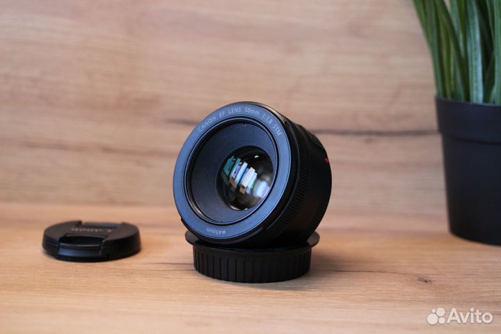 Canon EF 50mm f/1.8 STM