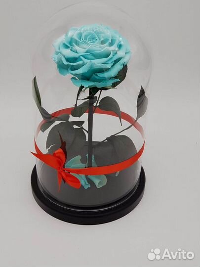 Роза в колбе. Любые размеры