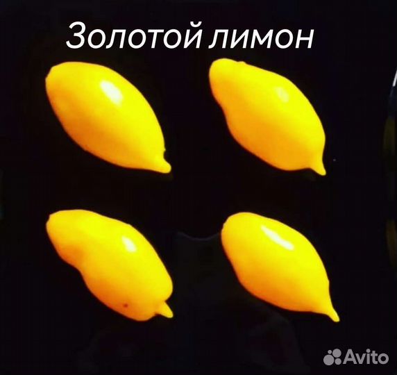 Семена помидор