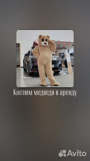 Аренда костюма медведя