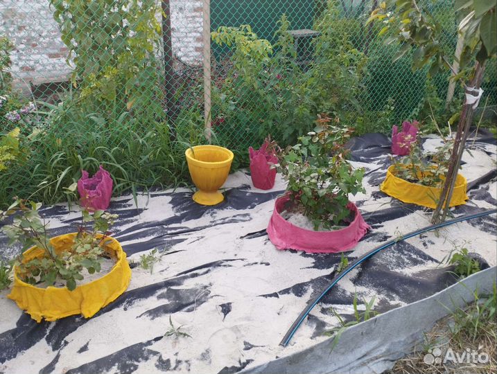 Ваза и бетонные кружочки для растений