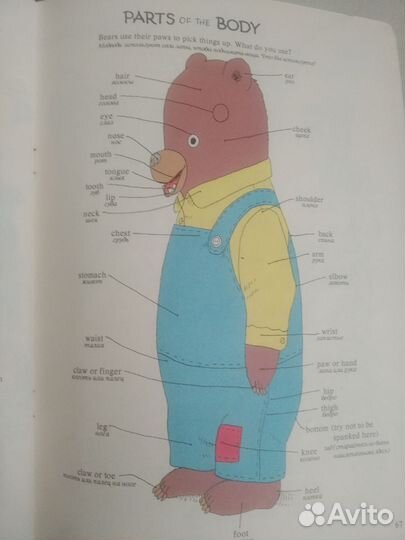 Английский язык в картинках