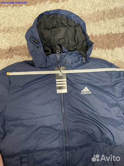 Куртка демисезонная