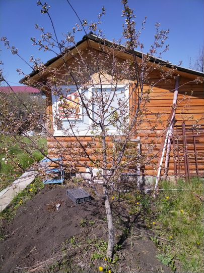 Дом 12 м² на участке 6 сот.