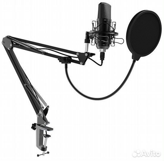 Микрофон Ritmix RDM-169 USB Black