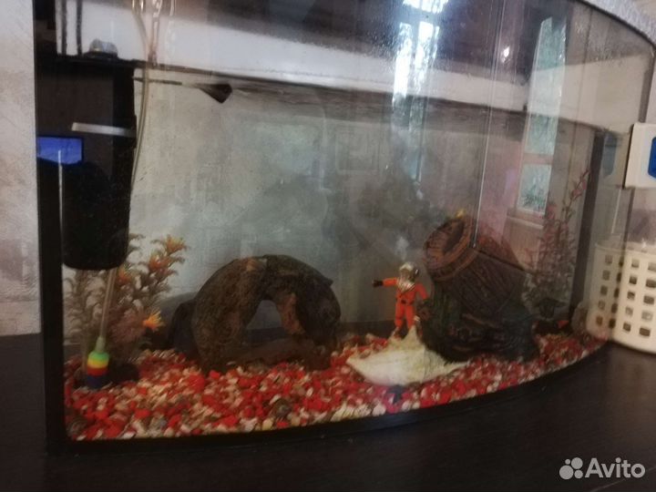Аквариум