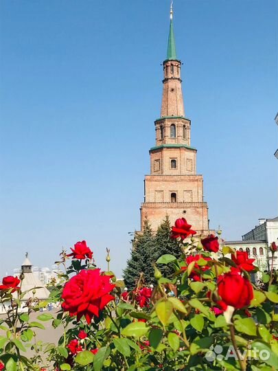 3-6 ноября тур в Казань