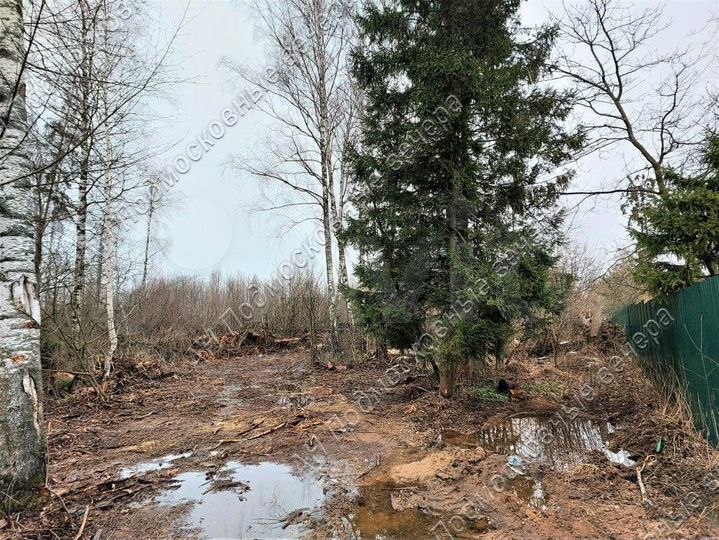 Участок 50 сот. (ИЖС)