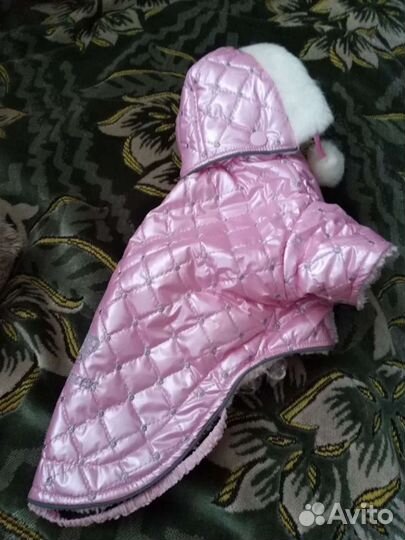 Курточка для чихуахуа