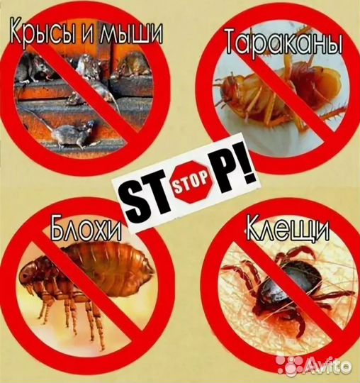 Мастер на час