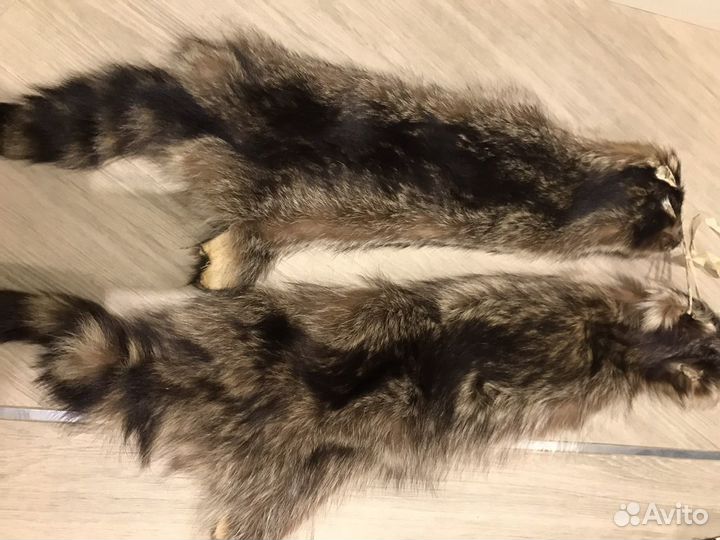 Шкура натуральная енот- полоскун