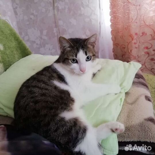 Фенечка в поисках доброго сердца., 3 года